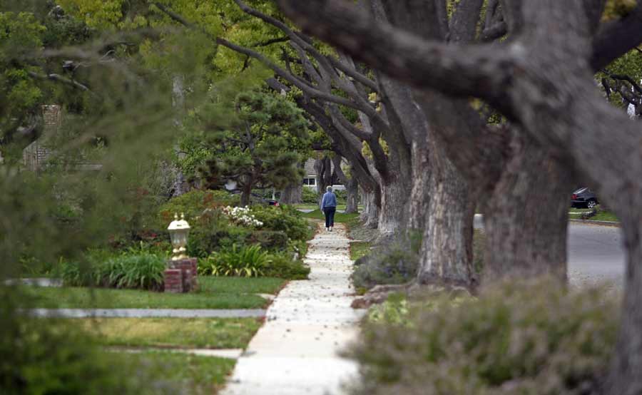 A woman walking down a city block lined with trees in Arlington, Texas
