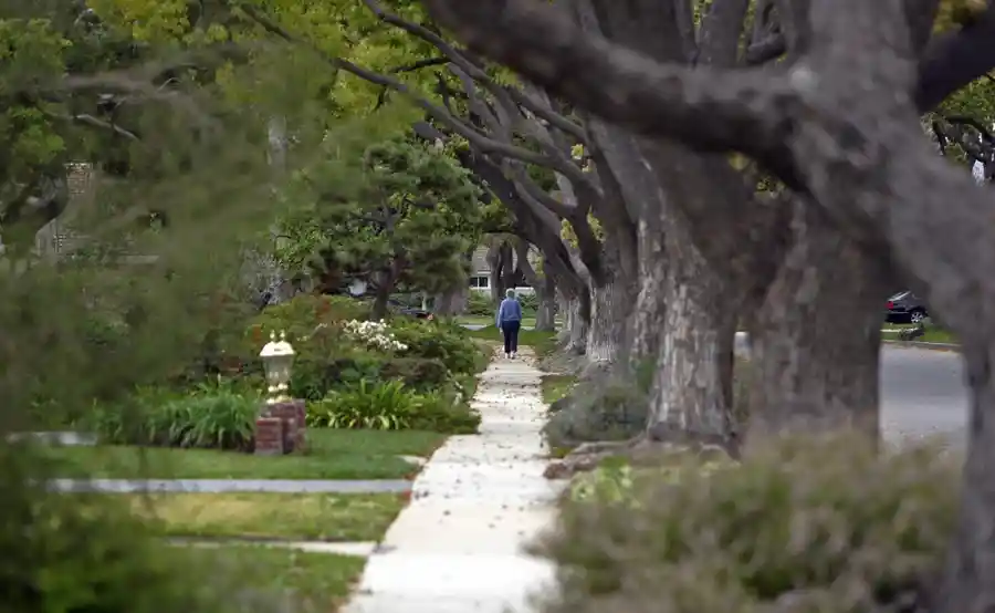 A woman walking down the sidewalk on a block full of large trees